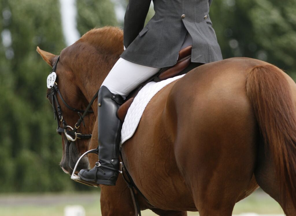 fantino a cavallo di spalle