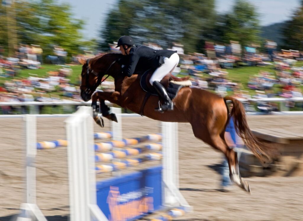 campionato del mondo equestre - salto ostacoli