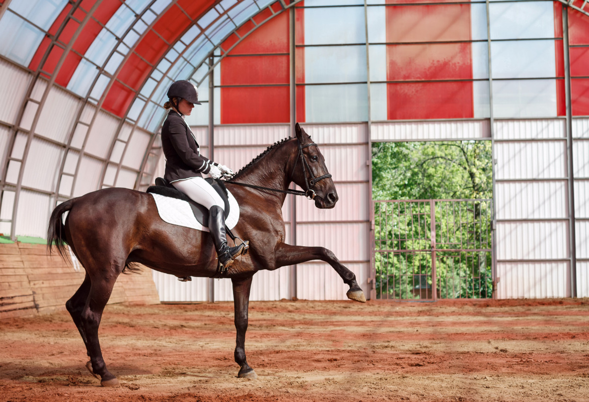 London International Horse Show